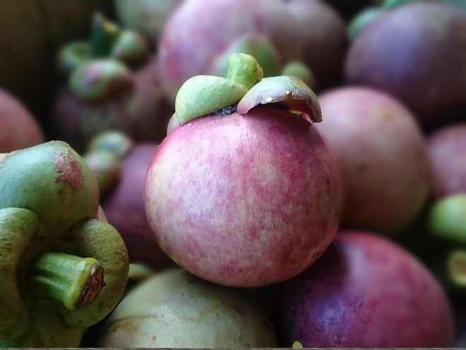 mangostão roxo e amarelo