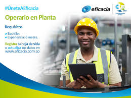 eficacia empleo